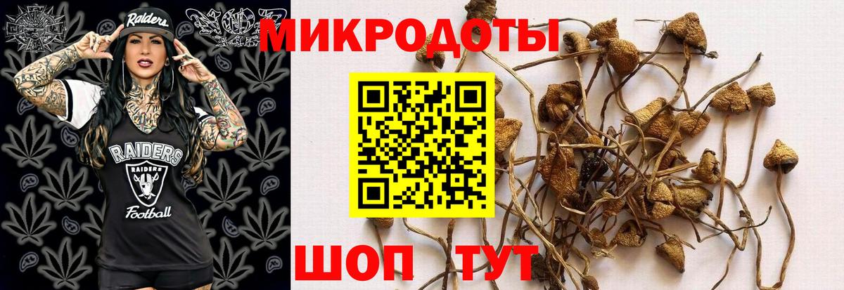 Псилоцибиновые грибы мухоморы Рыбинск
