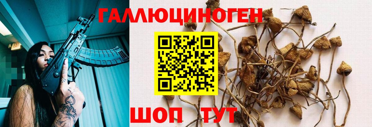 Галлюциногенные грибы Cubensis  Вход с VPN  Рыбинск 